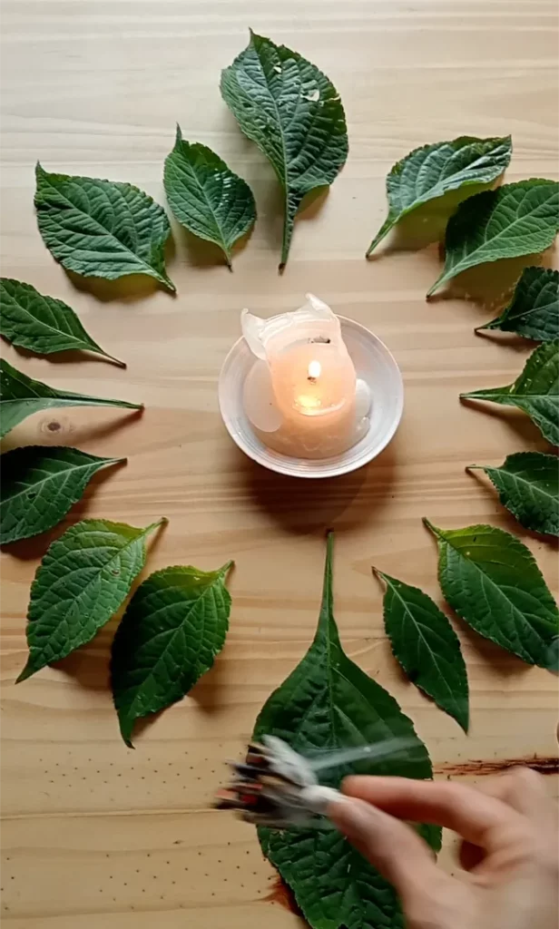 Invocación a las Hojas de la Pastora, medicina ancestral